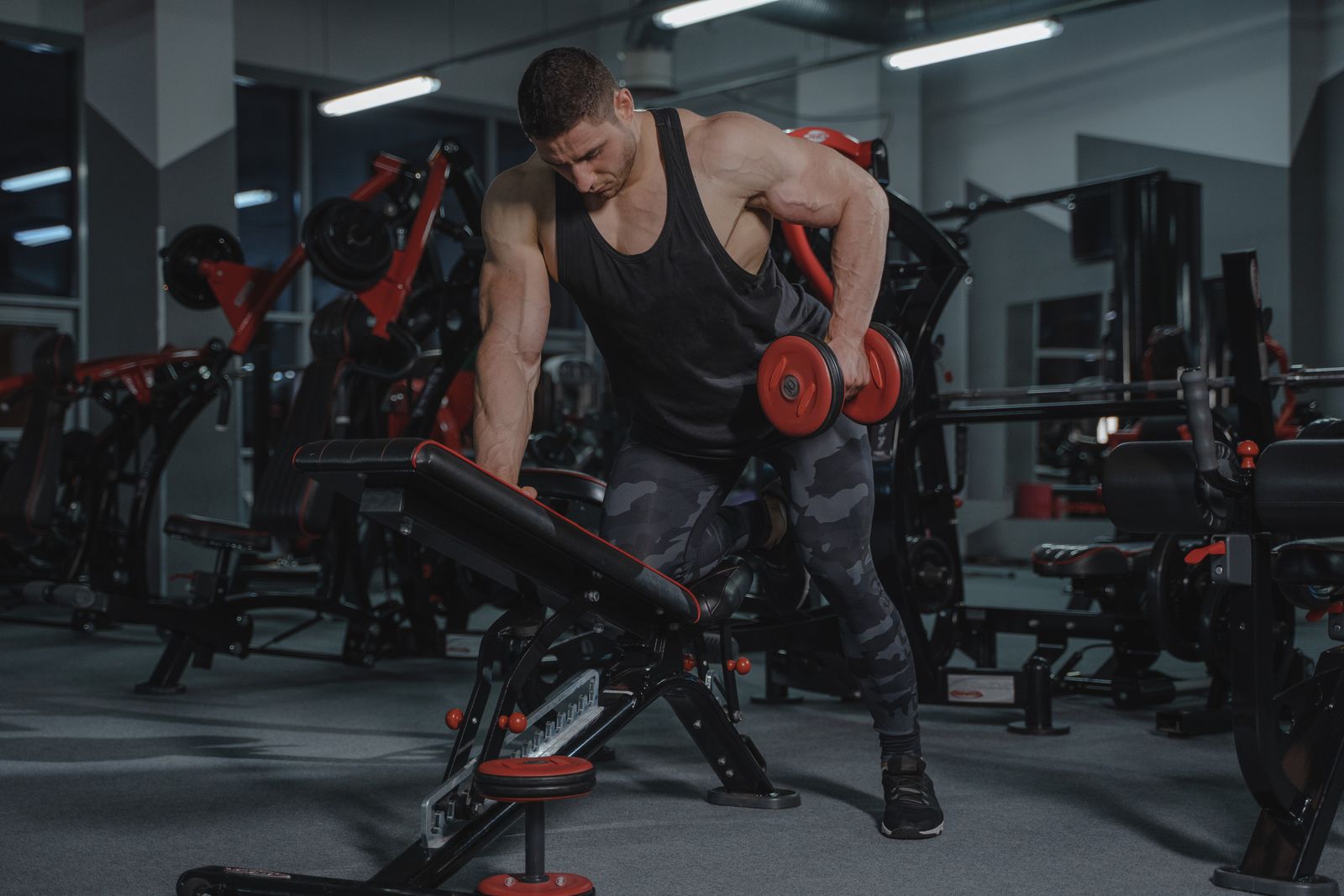 Allenamento con manubri in palestra